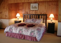 The Stellar Suite pic 1